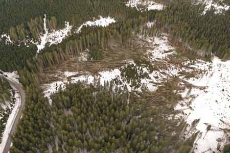 Vir: Zavod za gozdove; vetrolom